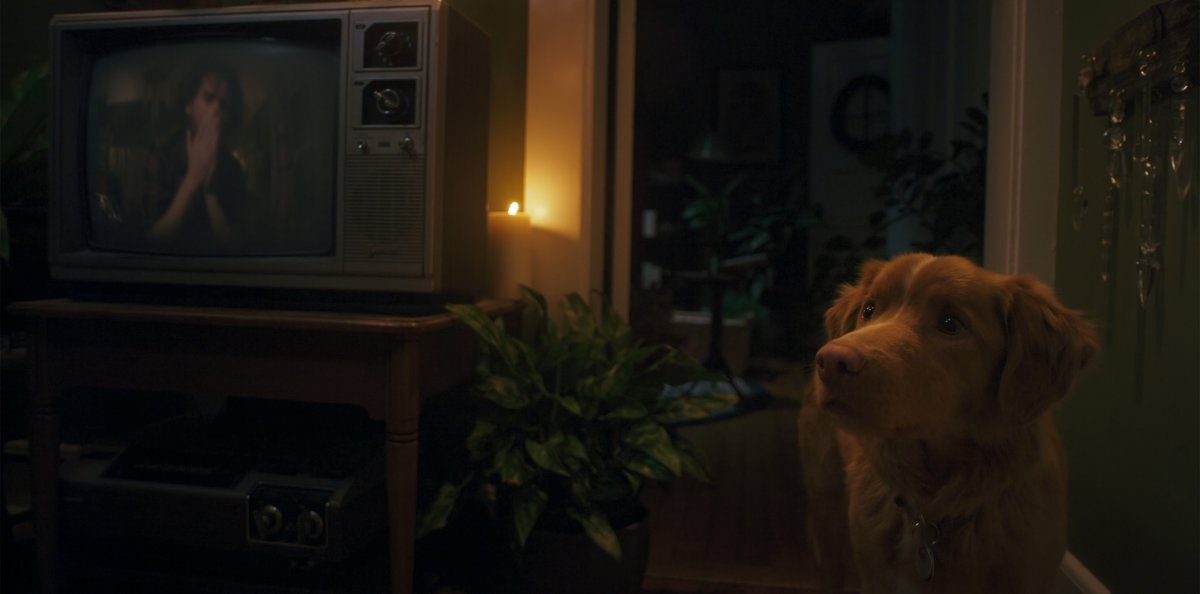 Кадр из сериала / film.ru