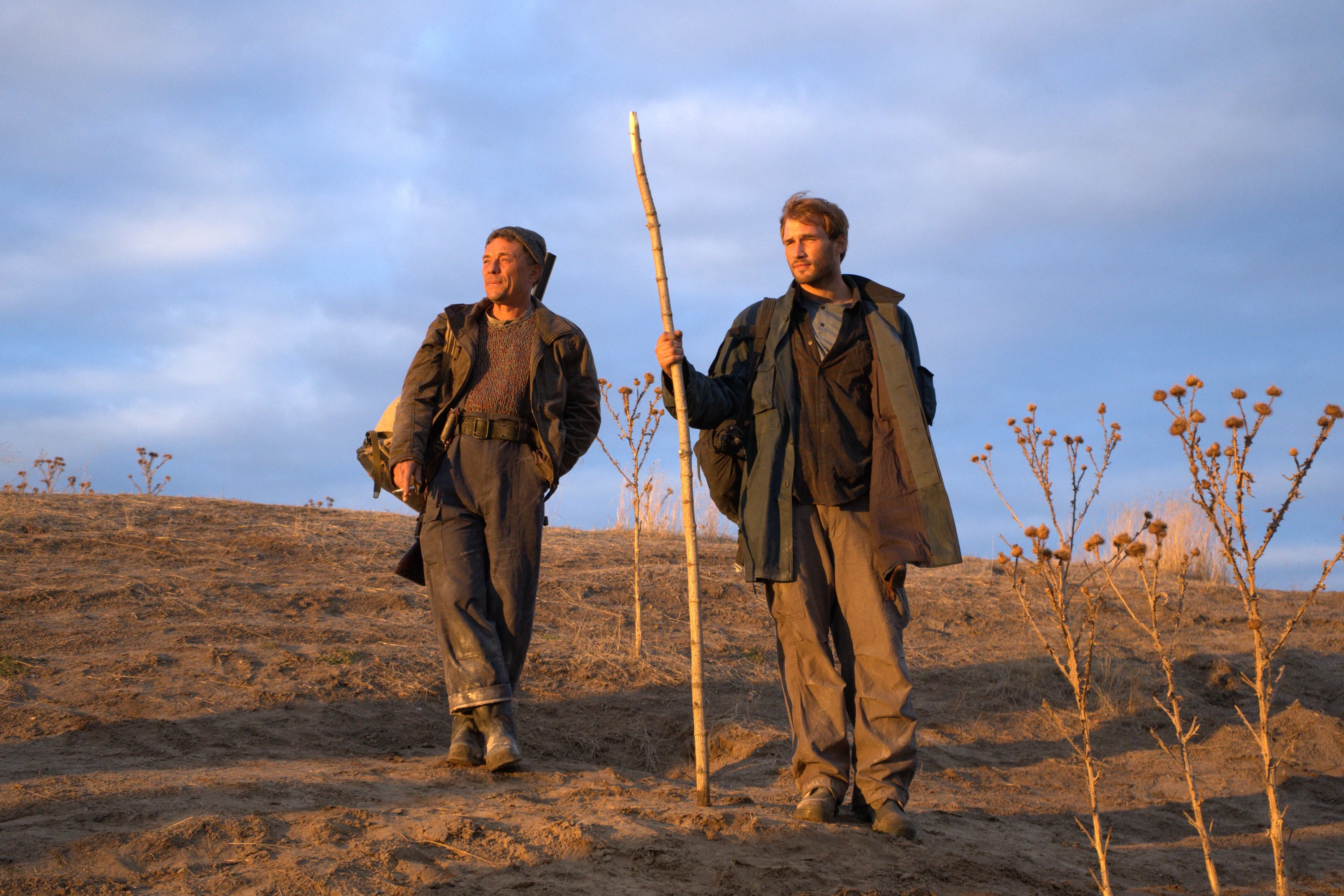 Обложка статьи Кино морального покоя 